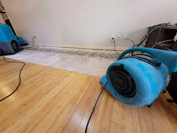 Professional Water Damage Repair technician working in Saint James City, FL